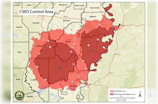 Louisiana Expands CWD Control Area Ahead of Deer Archery Season in Effort to Curb Disease Spread