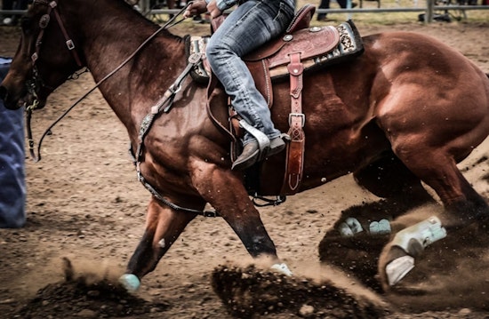 "Love Island USA" Alum Taylor Williams Escapes Serious Injury at Scottsdale Rodeo After Fall