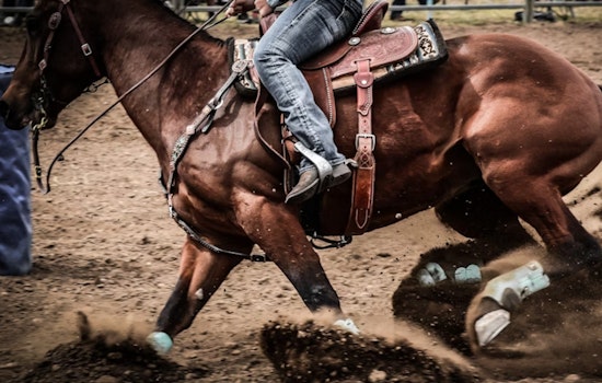 "Love Island USA" Alum Taylor Williams Escapes Serious Injury at Scottsdale Rodeo After Fall
