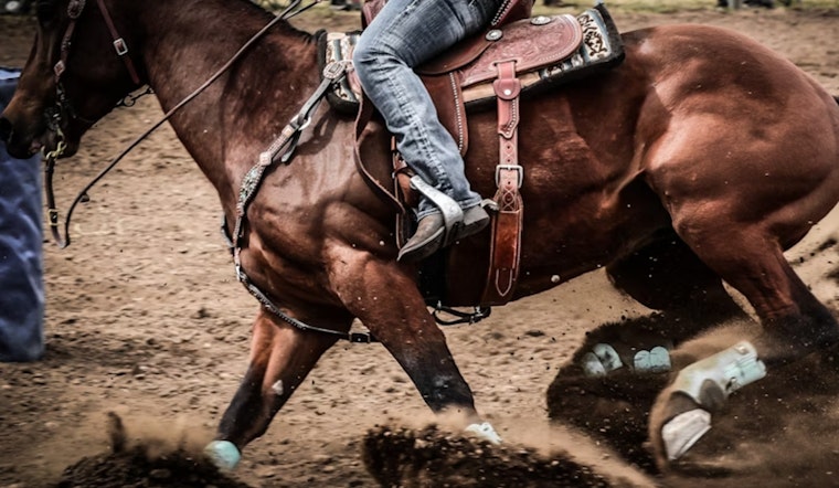 "Love Island USA" Alum Taylor Williams Escapes Serious Injury at Scottsdale Rodeo After Fall