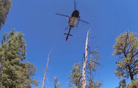 LVMPD Search and Rescue Team Successfully Extracts Injured Hiker from Mount Charleston