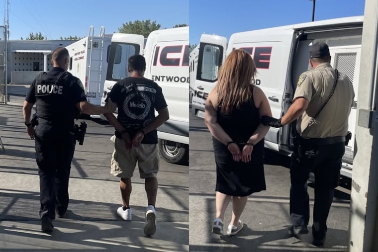 Mail Theft Suspects Apprehended in Brentwood Following Community Tip and Police Investigation