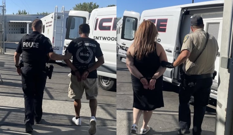 Mail Theft Suspects Apprehended in Brentwood Following Community Tip and Police Investigation