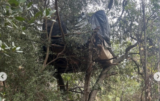 Man Arrested for Reckless Burning After Starting Fire at La Verne Homeless Encampment