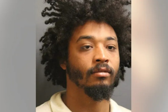 Man Charged With Felony Counts After Alleged Assault on CTA Yellow Line Train