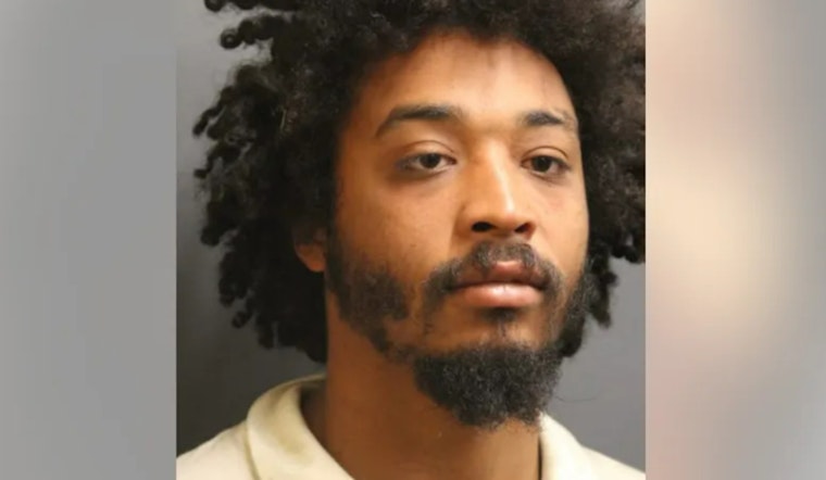Man Charged With Felony Counts After Alleged Assault on CTA Yellow Line Train