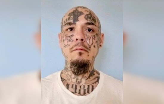 Manhunt in Anson County, Armed Suspect at Large After Shooting at Officers Following Car Chase