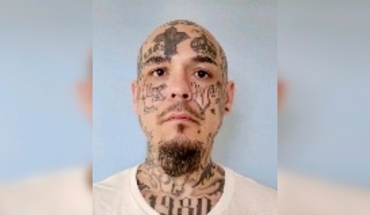 Manhunt in Anson County, Armed Suspect at Large After Shooting at Officers Following Car Chase