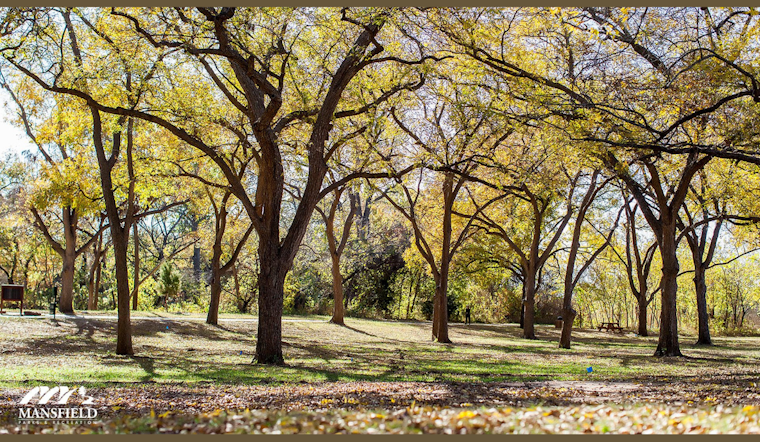 Mansfield Preschoolers Invited to Fall into Learning with Parks & Rec Nature Classes
