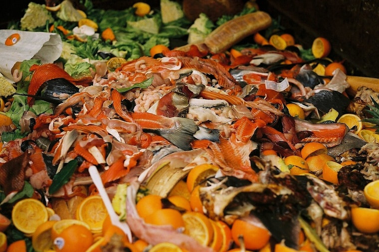 Massachusetts' Food Waste Ban Fuels Job Growth and Economic Prosperity, MassDEP Report Reveals