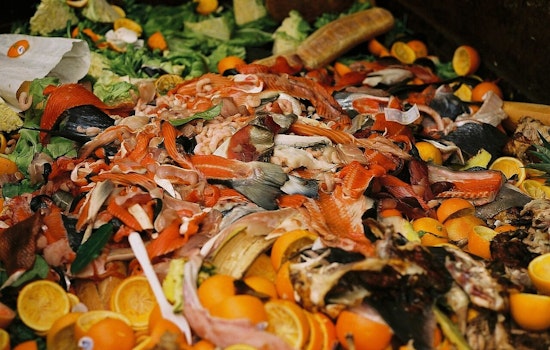 Massachusetts' Food Waste Ban Fuels Job Growth and Economic Prosperity, MassDEP Report Reveals