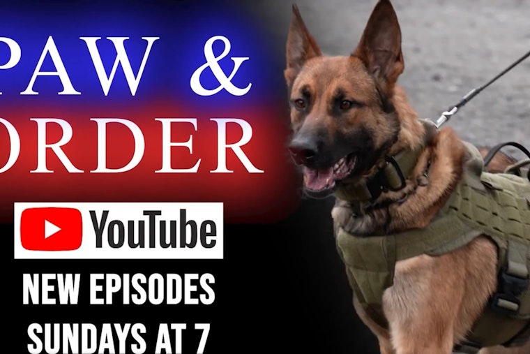 Meet Charlotte’s Newest K9 Heroes in "PAW & ORDER: Out on Patrol" - CMPD Showcases Furry Officers on YouTube