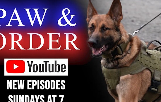 Meet Charlotte’s Newest K9 Heroes in "PAW & ORDER: Out on Patrol" - CMPD Showcases Furry Officers on YouTube