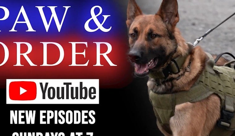 Meet Charlotte’s Newest K9 Heroes in "PAW & ORDER: Out on Patrol" - CMPD Showcases Furry Officers on YouTube