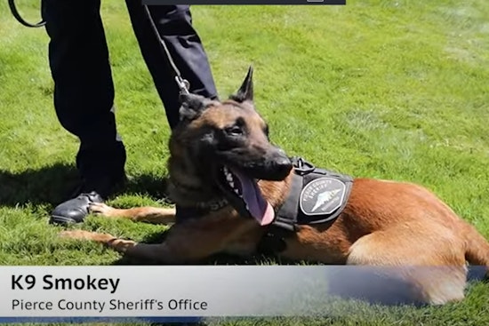 Meet Deputy Roland and K9 Smokey: Pierce County's Frontline Duo in Action