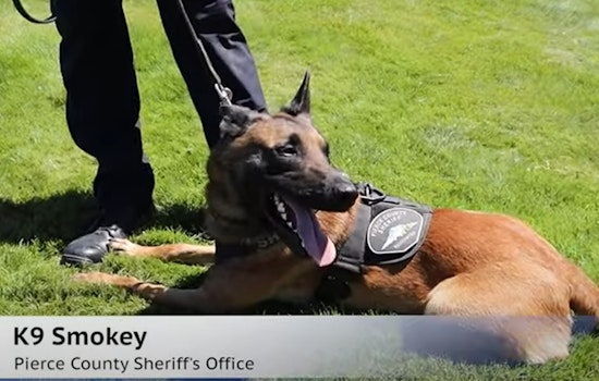 Meet Deputy Roland and K9 Smokey: Pierce County's Frontline Duo in Action