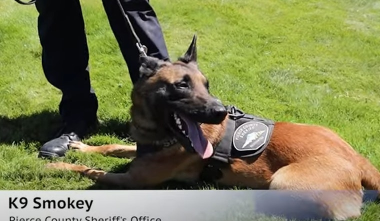 Meet Deputy Roland and K9 Smokey: Pierce County's Frontline Duo in Action