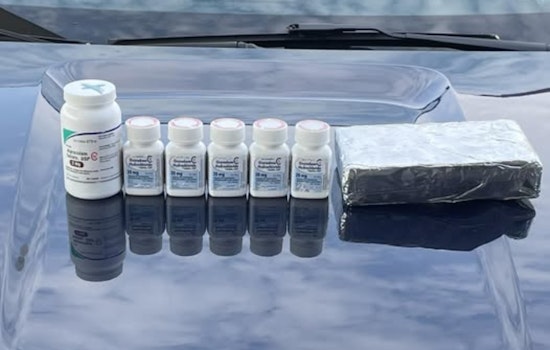 Memphis Drug Task Force Confiscates Cocaine and Prescription Pills in Pre-Dawn Raid