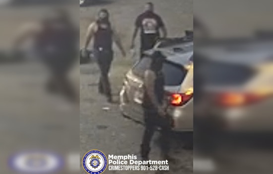 Memphis Police Seek Information on Suspects After Woman Brutally Assaulted on Park Avenue