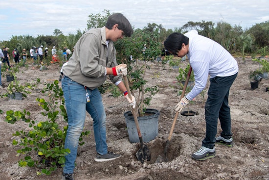 Miami-Dade County Mobilizes Volunteers for Restoration of Over 28,000 Acres of Endangered Lands