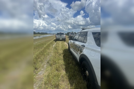Miami Hunters and Their Dogs Fatally Struck by Lightning in Highlands County
