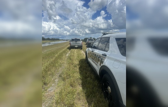 Miami Hunters and Their Dogs Fatally Struck by Lightning in Highlands County
