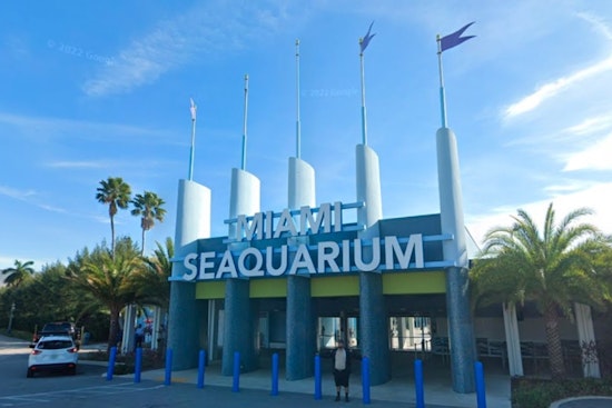 Miami Seaquarium Set for Transformation as New Era of Marine Education and Conservation Beckons