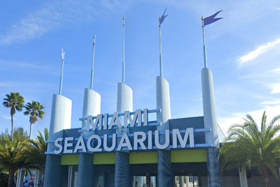Miami Seaquarium's Troubles Resurface as Dolphin Dies Amid Concerns Over Animal Welfare and Financial Woes