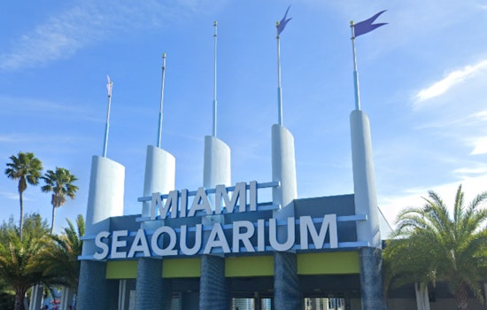 Miami Seaquarium's Troubles Resurface as Dolphin Dies Amid Concerns Over Animal Welfare and Financial Woes