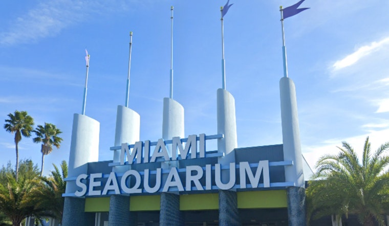 Miami Seaquarium's Troubles Resurface as Dolphin Dies Amid Concerns Over Animal Welfare and Financial Woes