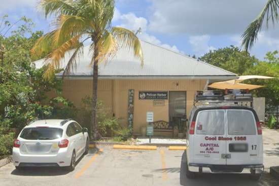 Miami's Pelican Harbor Seabird Station Admits Rare Eastern Glass Lizard as 2000th Patient of the Year