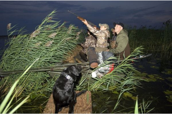 Michigan Hunters Enlisted in Battle Against Invasive Aquatic Plants Threatening Waterfowl Habitats