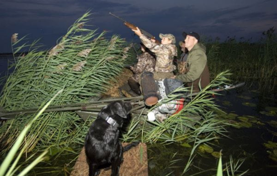 Michigan Hunters Enlisted in Battle Against Invasive Aquatic Plants Threatening Waterfowl Habitats
