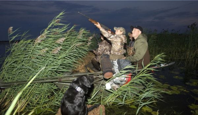 Michigan Hunters Enlisted in Battle Against Invasive Aquatic Plants Threatening Waterfowl Habitats