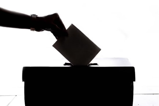 Michigan Voters Can Now Apply for Absentee Ballots for Nov 4 Elections, Detroit to Elect New Mayor