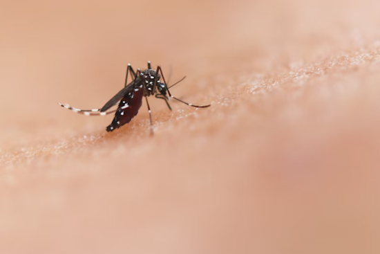 Millersville Targeted for Mosquito Control Operation by Maryland Department of Agriculture and Anne Arundel Health Department