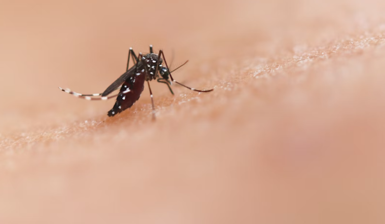 Millersville Targeted for Mosquito Control Operation by Maryland Department of Agriculture and Anne Arundel Health Department