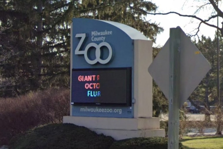 Milwaukee County Zoo Staff and Local Services Rally to Aid Senior Elephant Ruth After Fall