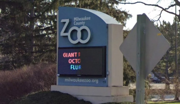 Milwaukee County Zoo Staff and Local Services Rally to Aid Senior Elephant Ruth After Fall