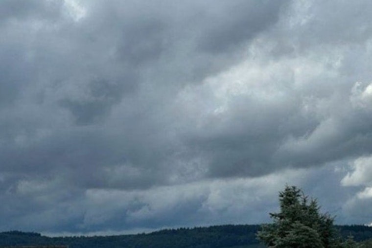 Minneapolis Braces for Rainy Week Ahead with Showers and Thunderstorms in Forecast