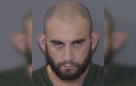 Monroe Police K-9 Bolo Apprehends Suspect Vitalii Gutorka Wanted for Car Theft and Hit-and-Run
