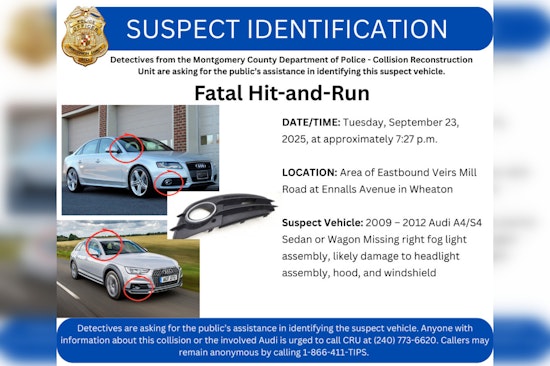 Montgomery County Police Seek Public Help in Wheaton Hit-and-Run That Killed 52-Year-Old Woman