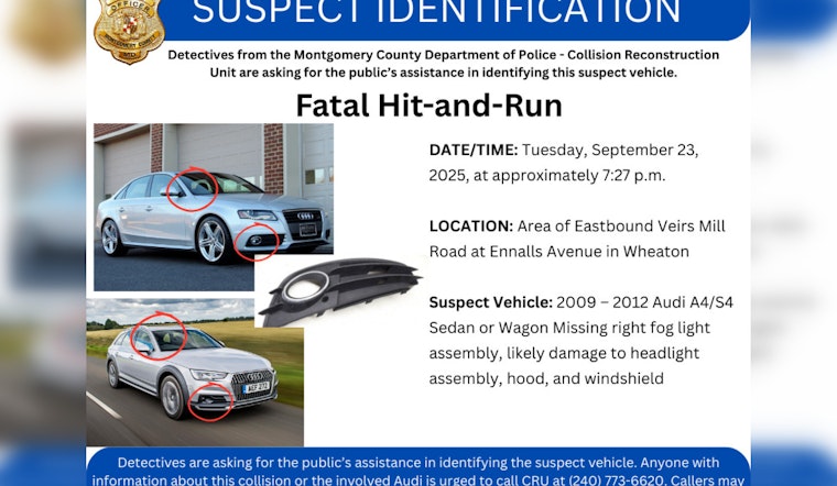 Montgomery County Police Seek Public's Help in Wheaton Fatal Hit-and-Run Case