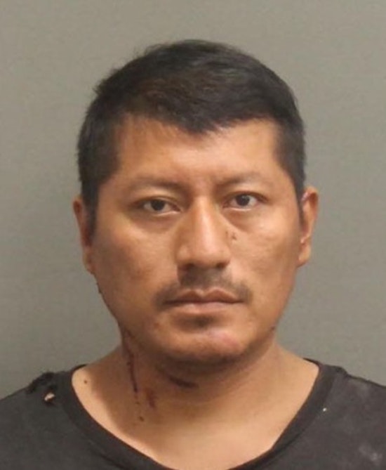 Nashville Man Charged with Attempted Murder After Stabbing Cousin at Hamilton Creek Marina