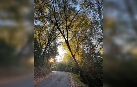 Nevada County and Nevada City Partner Up for Deer Creek Fuels Reduction Project to Mitigate Wildfire Risks