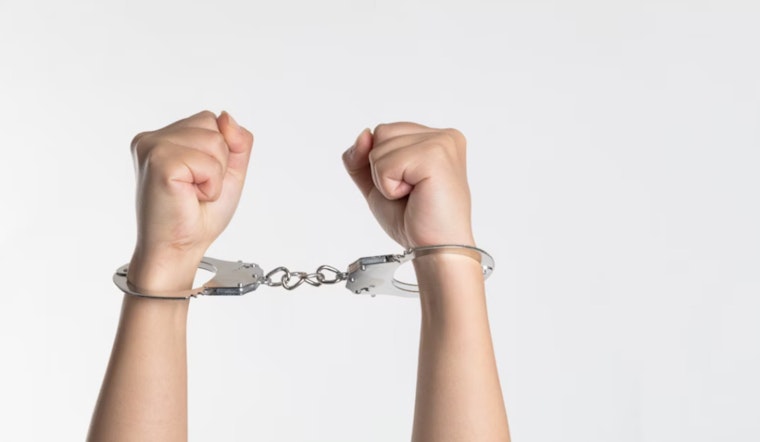 Nevada County Sheriff's Office Reports Attempted Robbery at Grass Valley Cannabis Farm, Suspects Charged