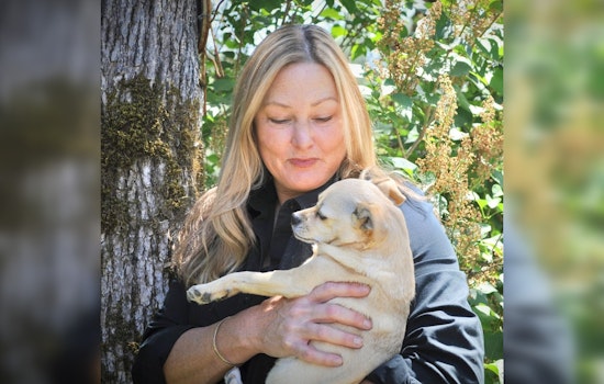 Nevada County's Stefanie Geckler Takes Reins as President of California Community Animal Response Teams