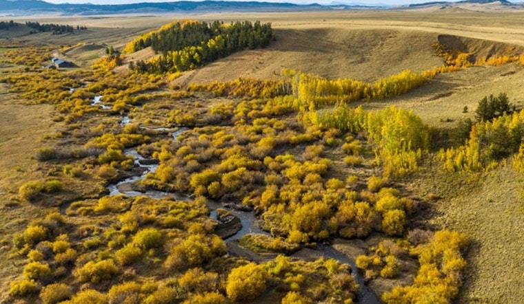 New Hunting and Fishing Haven Opens in Park County, Colorado: Collard