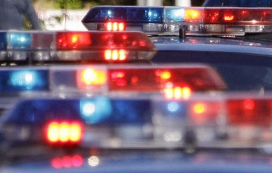 New Orleans Police Apprehend Suspect Accused in Lasalle Street Homicide Case