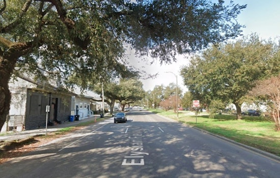 New Orleans Police Seek Public's Help in Elysian Fields Avenue Homicide Case